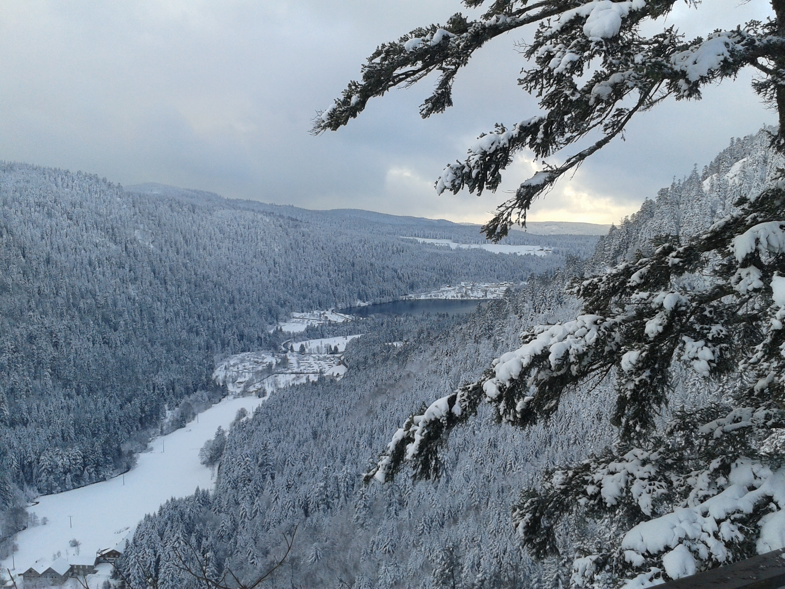 Paysage de neige